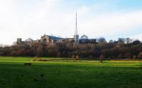 Alexandra Park